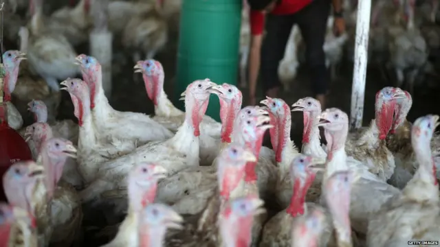 ਕੋਰੋਨਾਵਾਇਰਸ