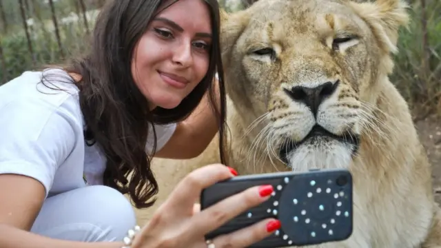 Aslan