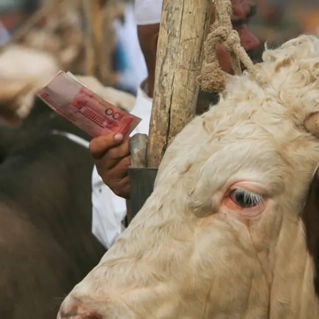 पाकिस्तानी रुपया