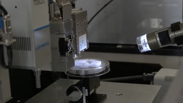 Испытательный образец ушного имплантата под воздействием ультрафиолета