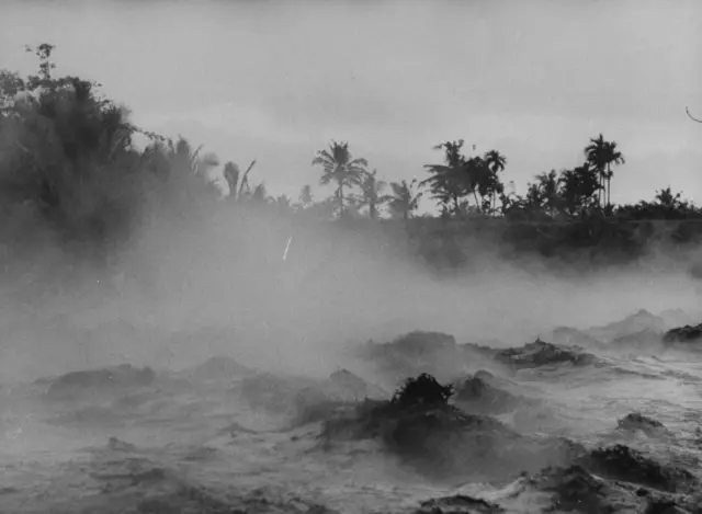 Terence Spencer/The LIFE Images Collection/Getty Images