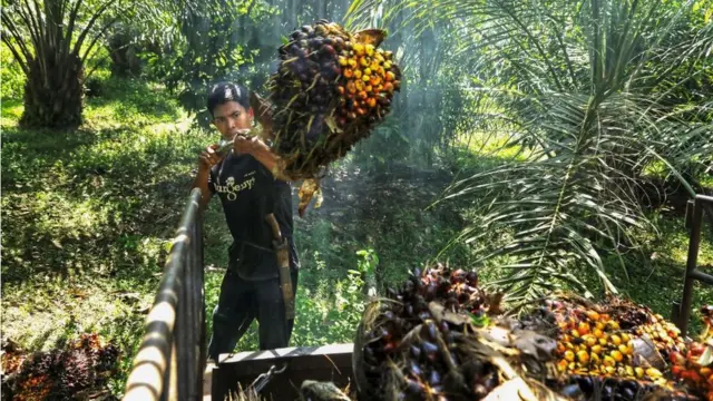 پاکستان، تیل،