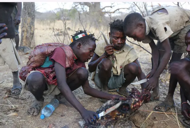 Os hadza comendo a zebra