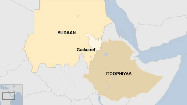 Danaa Itoophiyaa fi Sudaan