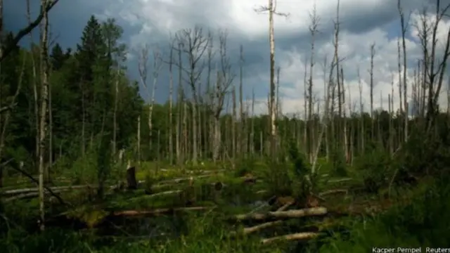 फाइल चित्र