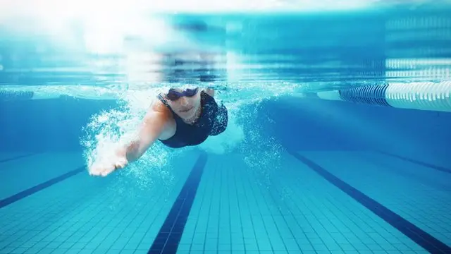 文化，社会，世界，心理