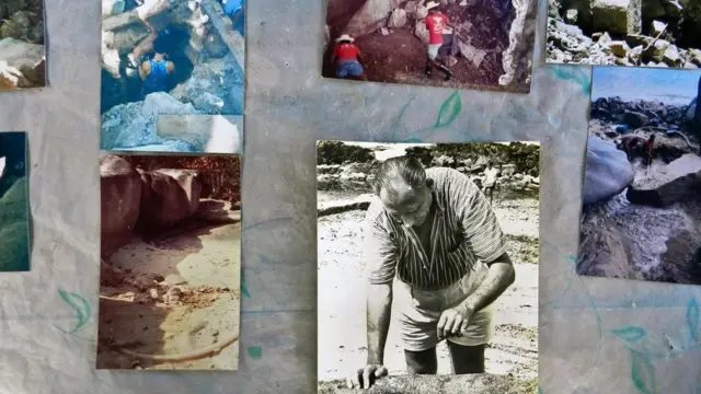 雷金纳德•克鲁斯-威尔金斯，即"淘金人"，花了 27 年时间搜寻宝藏