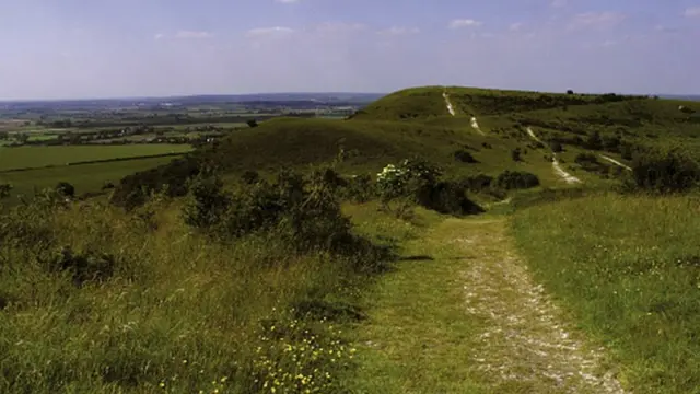 Чилтерн Хилс