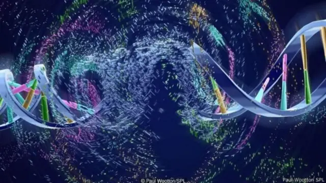 પ્રતીકાત્મક તસવીર