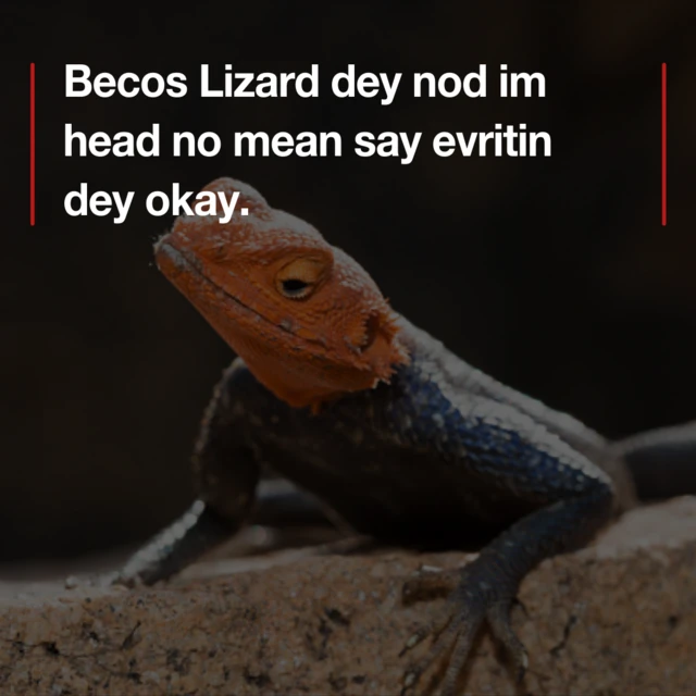 As anoda don reach, Imo Joseph give us dis proverb