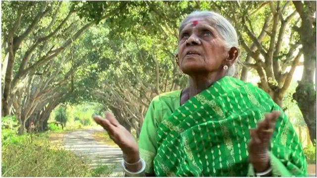 थिमक्का