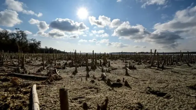 водосховище