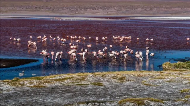 बोलिविया में सालर डि उयूनी