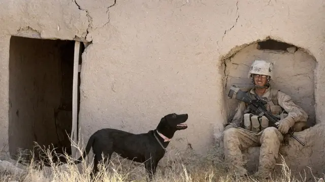 अफ़गानिस्तान