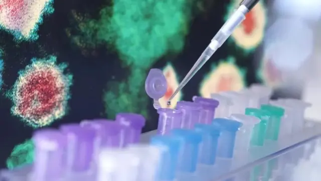 ਕੋਰੋਨਾਵਾਇਰਸ