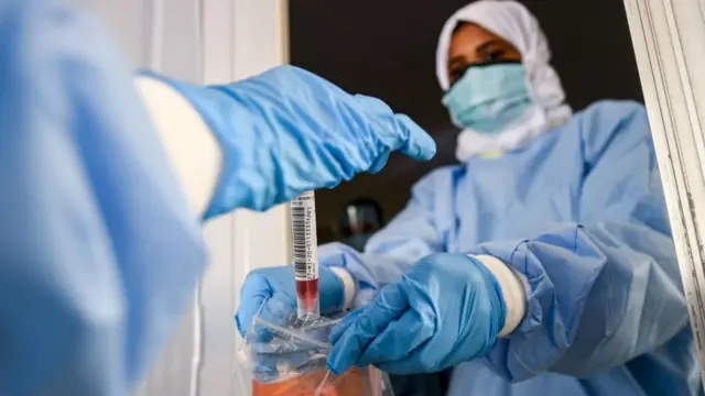 Коронавирус кан тапшыруу