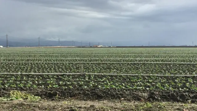 Valle de Salinas, California