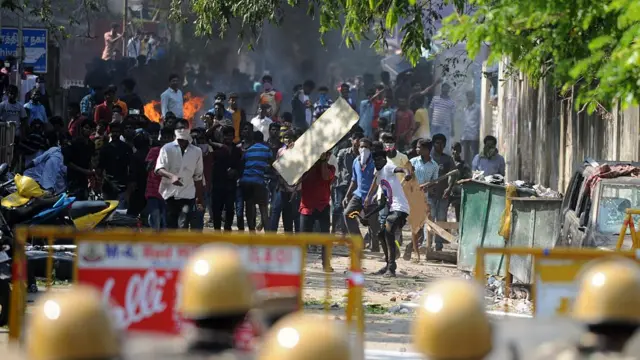 ஜல்லிக்கட்டு