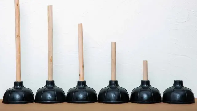 알렉산더 레벤의 '플런저들'