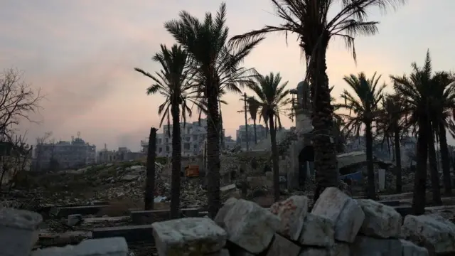 صورة لبعض مناطق حلب ذات النخيل