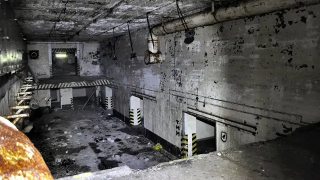 بریزنیکا کولونیا