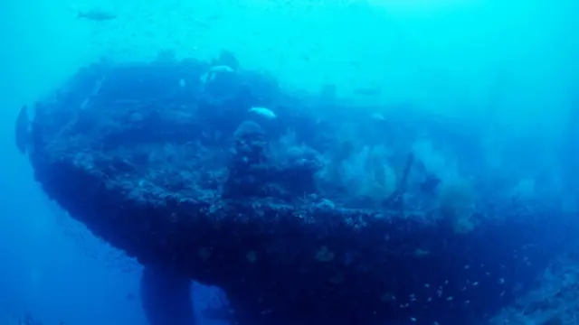 tanker, kapal tanker, kapal minyak, fossil fuel, bahan bakar minyak, energi terbarukan, energi ombak, energi gelombang