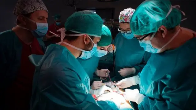 Transplatacija u Španiji