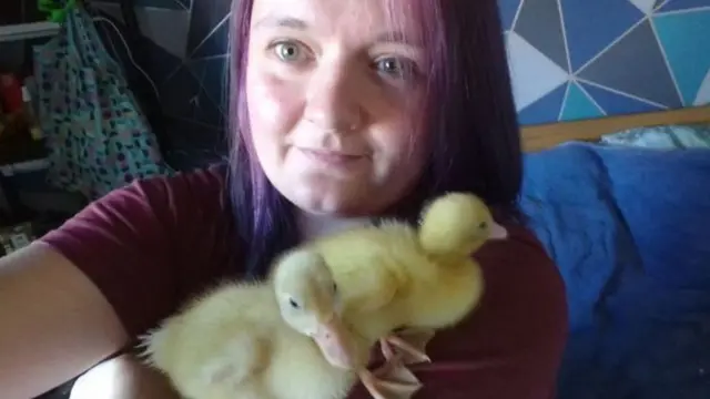 Charli Lello and her baby ducks