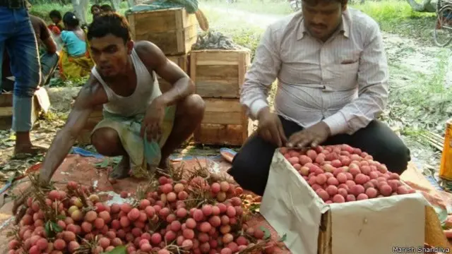 लीची विक्रेता