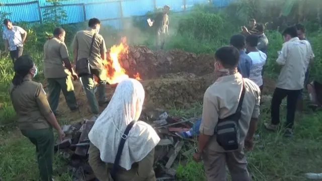 Kemungkinan, di penangkaran seluas sekitar satu hektar tersebut, masih ada buaya lain selain dari 292 buaya yang mati diduga karena aksi warga.