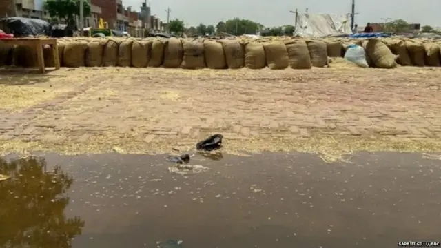 बरनाला की मार्केट