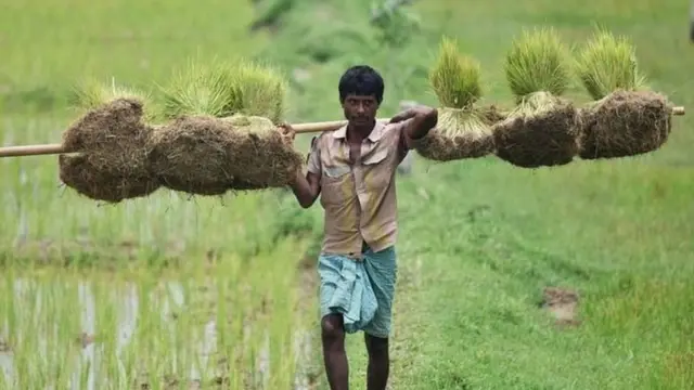 પ્રતીકાત્મક તસવીર