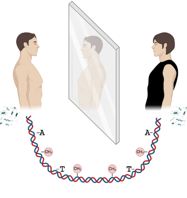 Une étude graphique avec l'image miroir de deux personnes