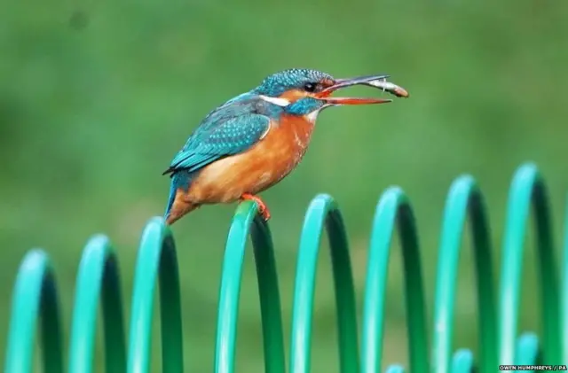 कोरोना वायरस से जूझती दुनिया