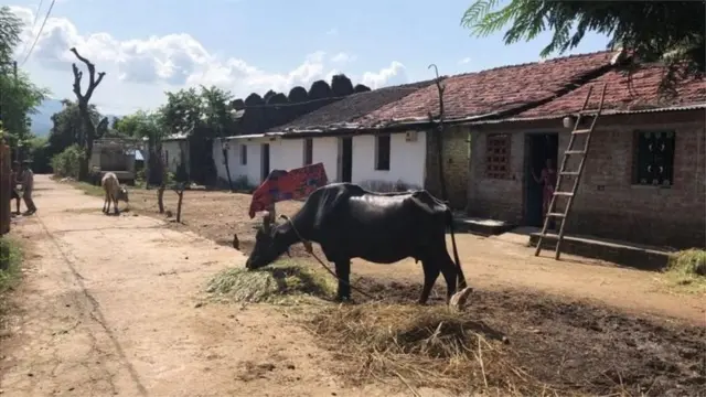 કેવડિયા