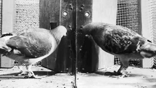 كيف تنجو من "العصابات الرقمية" التي تسرق وقتك؟