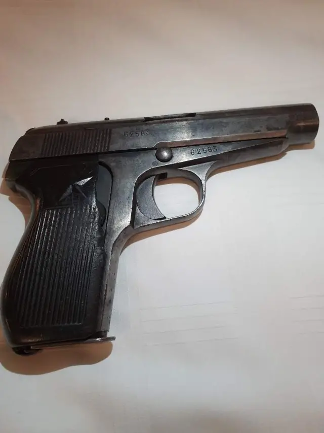 전씨가 가지고 온 총