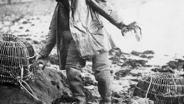 Le homard était autrefois si abondant qu'il était utilisé comme engrais et servi aux prisonniers.