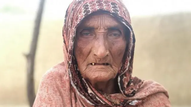 दाफिया बाई