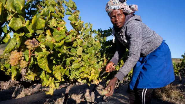 Une femme dans un champs
