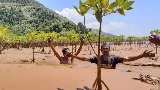 Di Halmahera Timur, Provinsi Maluku Utara, pertambangan menyebabkan pencemaran lingkungan.