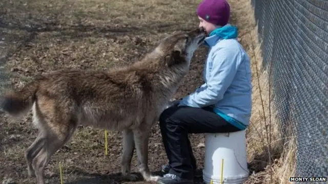 कुत्तों से दोस्ती