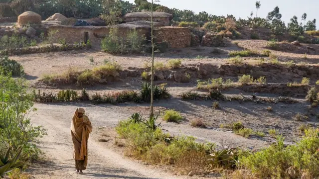 ፈላሲ ኣብ ትግራይ