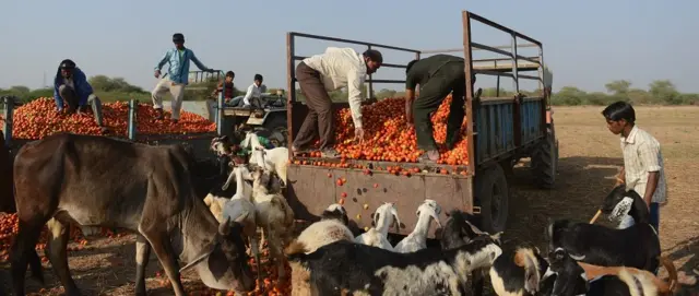 आम बजट, भारतीय अर्थव्यवस्था