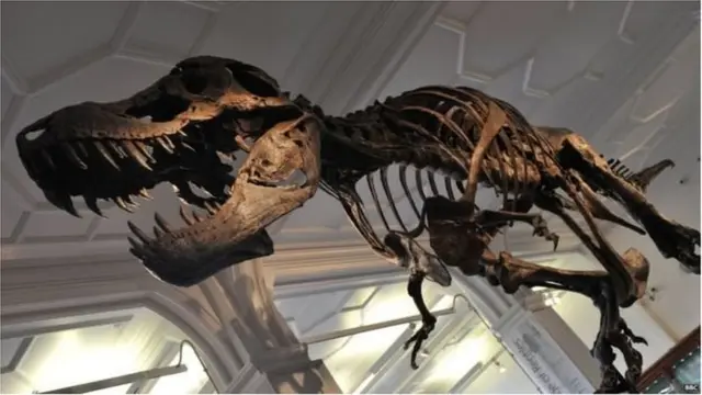 डायनासोर