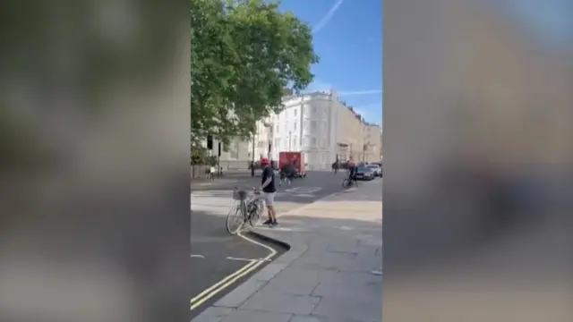 prolaznici gledaju odbegle konje u Londonu