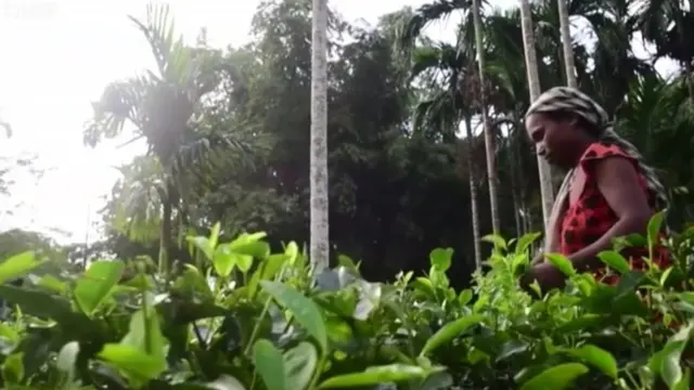 అసోం ఎన్ఆర్‌సీ జాబితా