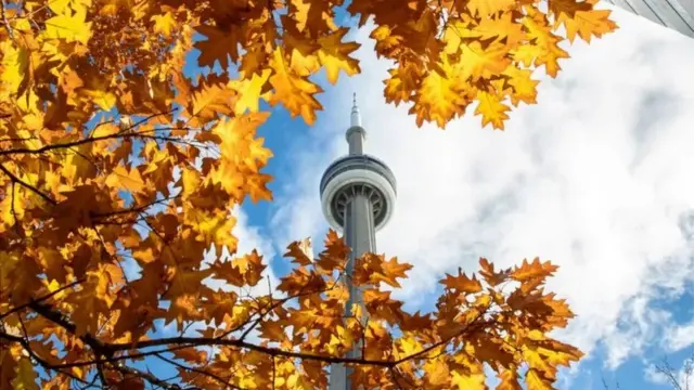 En automne, la nature offre des images à couper le souffle à Toronto et dans ses environs.