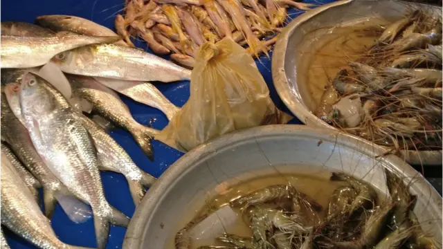 বেশিরভাগ মানুষ বলছেন পলিথিন ব্যাগ ব্যবহার তাদের জন্য সহজ। কিন্তু পরিবেশের কথা ভাবছেন না।