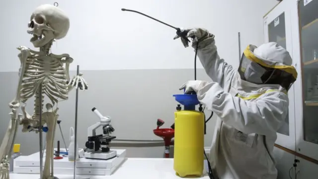 سکول کورونا